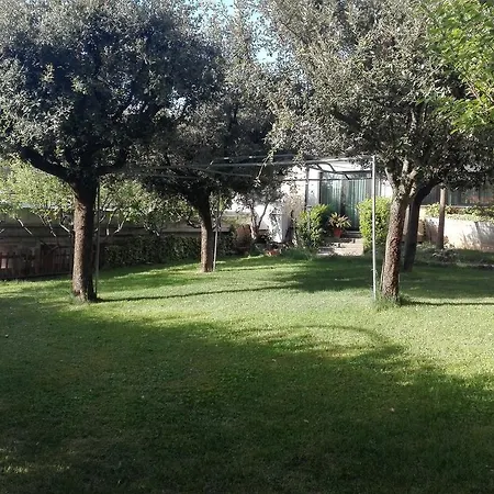 Rezzo 3*
